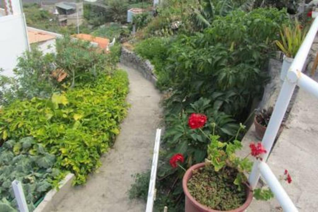 House Rural,Biosphere Reserve World.Taganana.Tfe. Санта Крус де Тенерифе Екстериор снимка